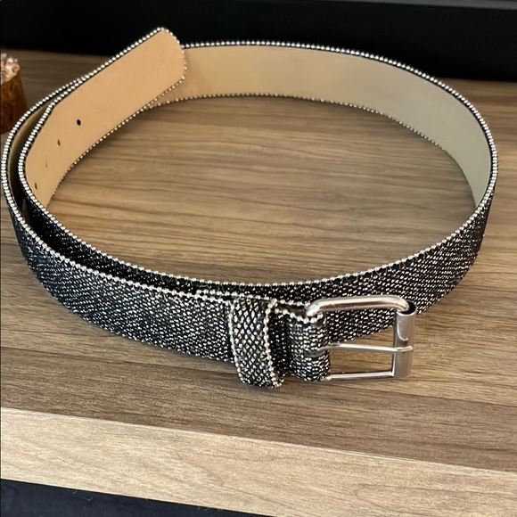 Torrid Rhinestone Chrystal Textured Belt! Beaded Bedazzled Studs. Glitter. Plus - Picture 3 of 11